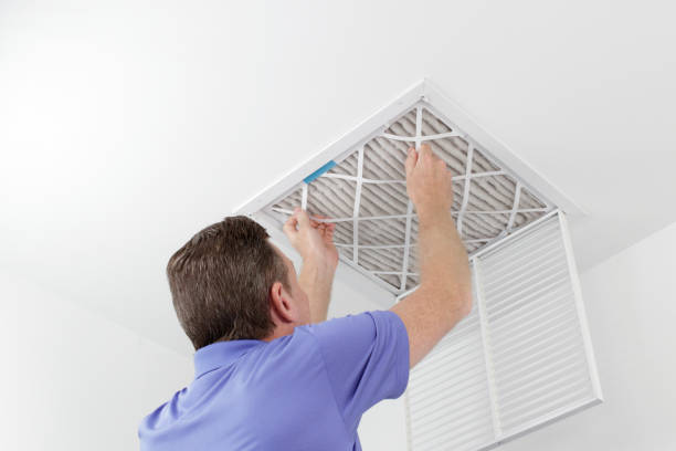 Best Residential Air Duct Cleaning  in Sibley, IA